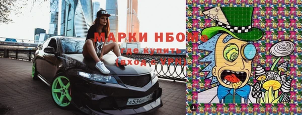 не бодяженный Бородино