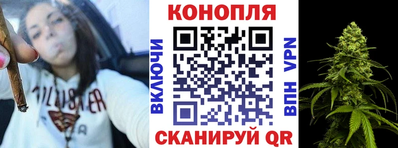 дарнет шоп  Искитим  Конопля индика 